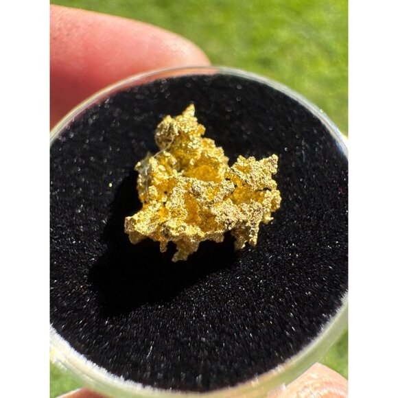 California Native Gold Crystal - 0.97 grams - Picture 4 of 7